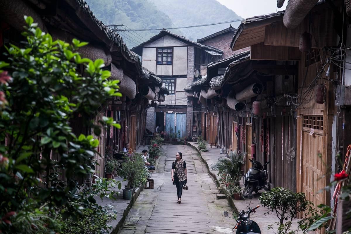 小猫钓鱼游戏龙王版有船